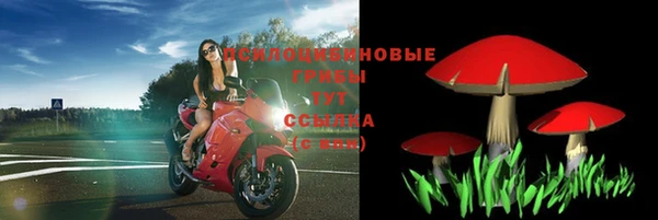 сатива Михайлов